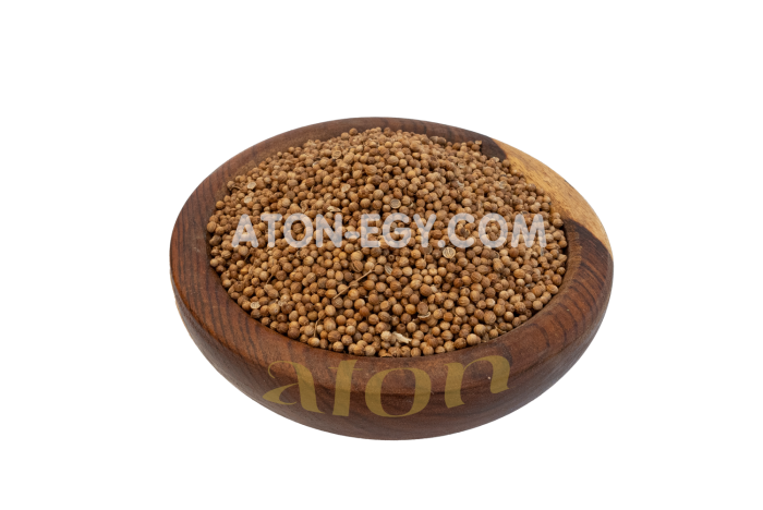 CORIANDER