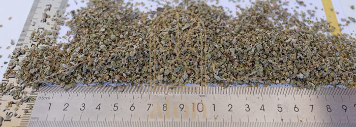 OREGANO - Image 2