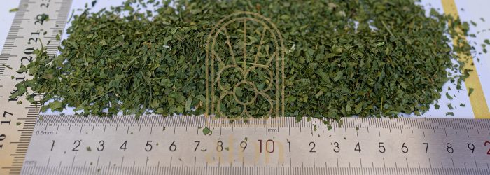PARSLEY - Image 2